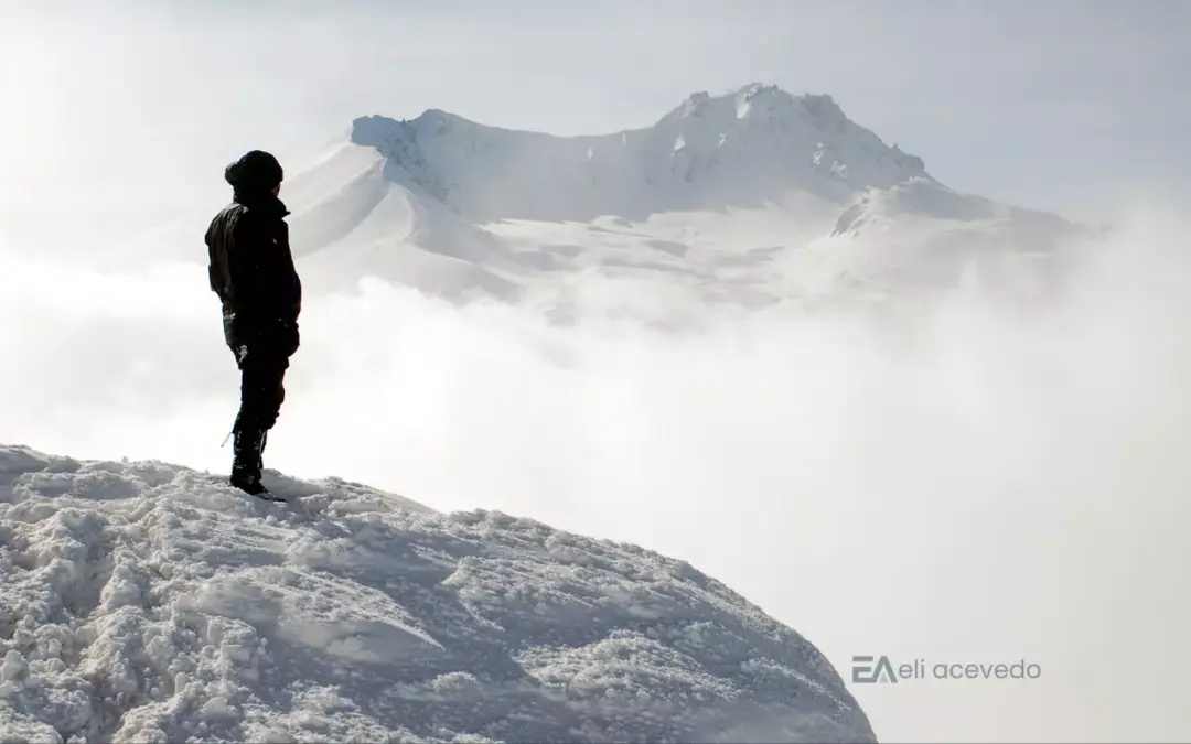 Humility - The Revamp Project